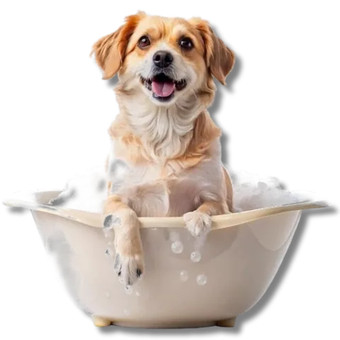 Cão dentro da banheira com espuma